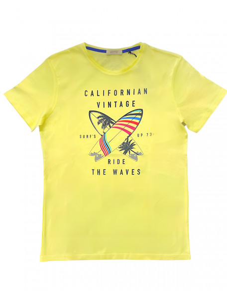 T-shirt ανδρικό με στάμπα σανίδες σερφ HEPPYD